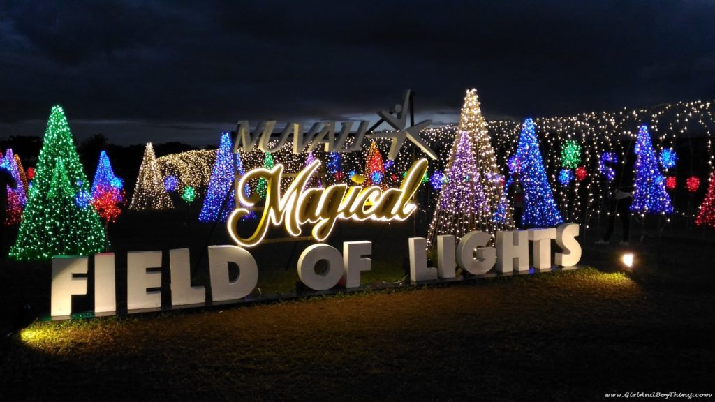 Nuvali Launches the Magical Field of Lights and Sound Show