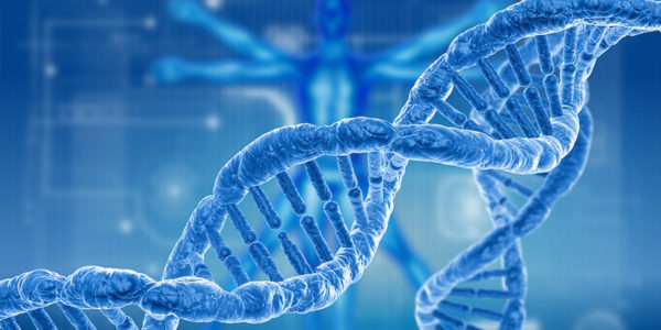 PlumCare DNA Advisor: Know Your Genetic Code