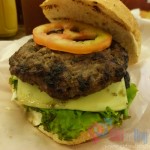 A Fire in the Soul: A Cantata