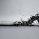 TAO Party Skin: Model's Party... A blast!