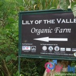 Organic Farming... Why Is It The Best?