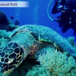 Help Build Lives Thru Caritas Manila's BUY and GIVE Expo 2013