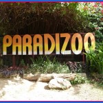 A Fun Day With Animals At PARADIZOO Theme Farm