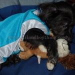 Your Dog Can Wear Clothes Too