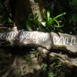 A Very Memorable Trip, The Organic Way At Bangkong Kahoy Valley