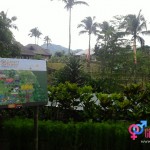 Gratchi's Getaway: Where Great Bonding Begins 