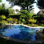 nurture welness village