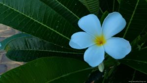 ZenFone Zoom Challenge