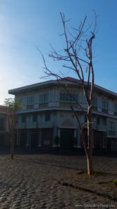 ZenFone Zoom Challenge