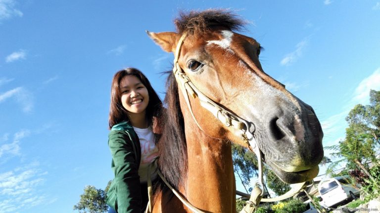 horseback riding in Mindanao