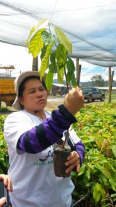 Binahon Agroforestry Farm