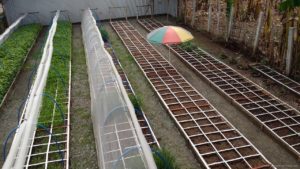 Cervantes Farm Square Foot Urban Farm