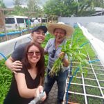 Cervantes Farm: New Square Foot Organic Urban Gardening