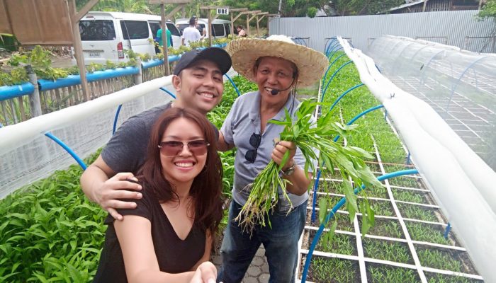 Cervantes Farm: New Square Foot Organic Urban Gardening