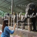 NECC Kuala Gandah Malaysia