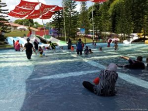 Bukit Gambang Water Park Penguin Island