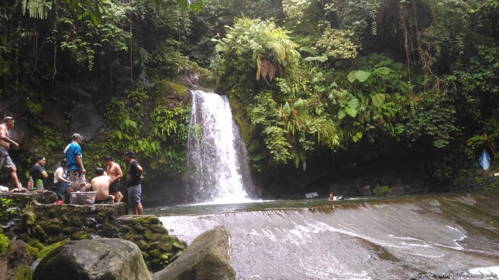 Costales Nature Farms tour