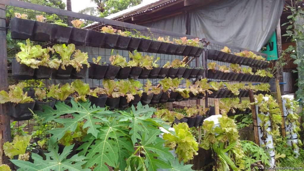 Costales Nature Farms