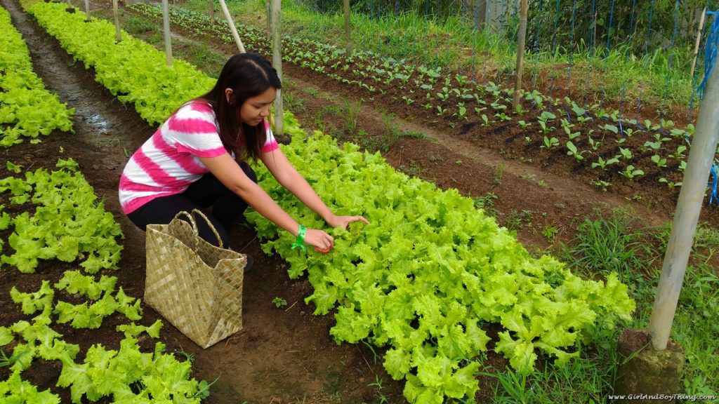 Costales Nature Farms laguna