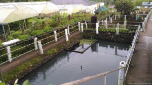 Costales Nature Farms