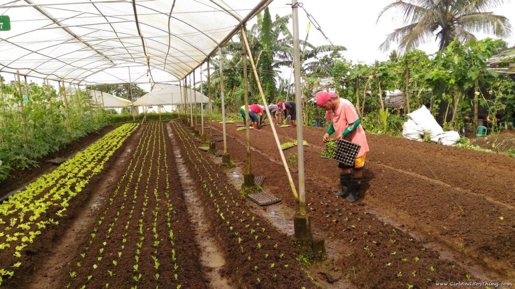 Costales Nature Farms