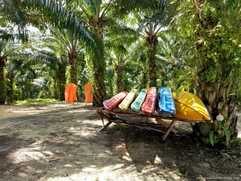 Mangala Resort & Spa