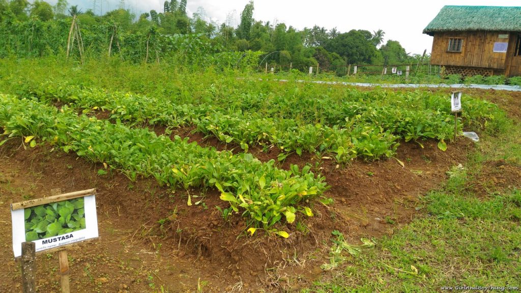 Terra Verde maragondon cavite