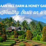Canaan Hill Farms And Honey Garden
