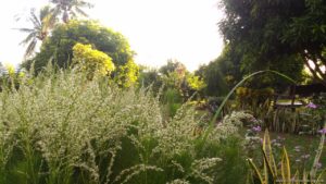 Canaan Hill Farms And Honey Garden