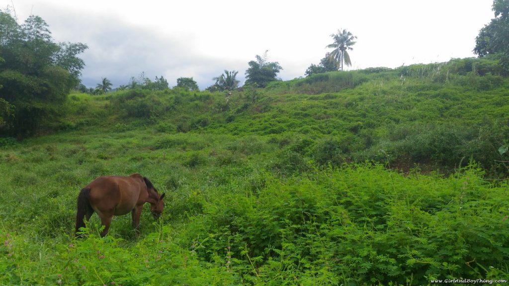 La Granja de Reyna Tacloban Samar
