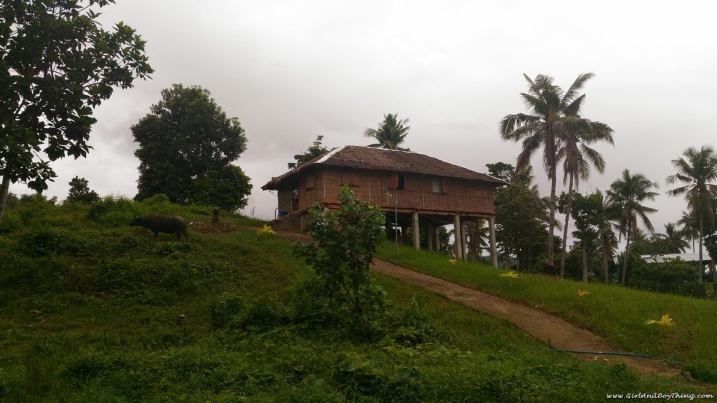 La Granja de Reyna Samar