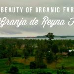 La Granja de Reyna Farm