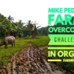 Mike Pedroso Farms
