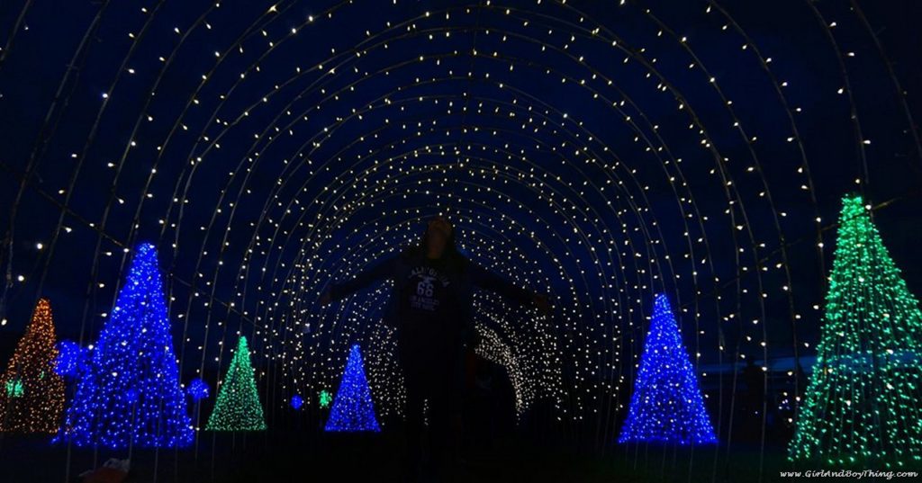 Nuvali Magical Field of Lights