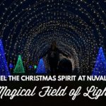 Nuvali Christmas Activities 2016