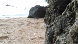 Playa Laiya Beach Club san juan