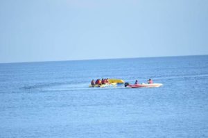 Playa Laiya Beach Club flying fish