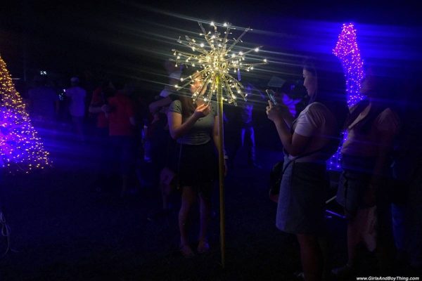 Magical Field Of Lights