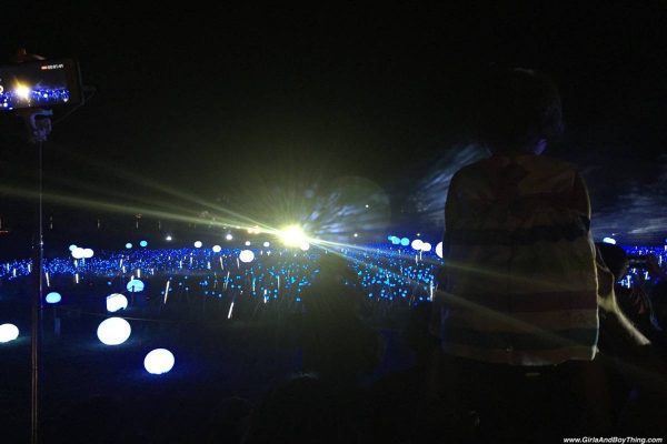 Magical Field Of Lights