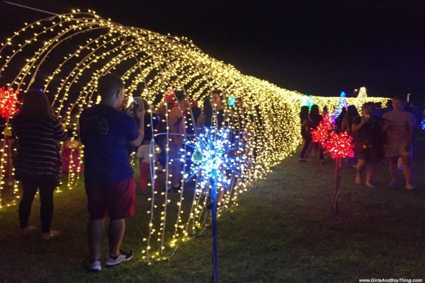 Magical Field Of Lights
