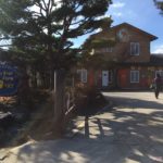 Teddy Bear gallery Korea