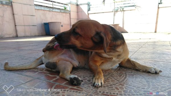 ASUS ZenFone 4 Selfie Lite SPECIAL EDITION