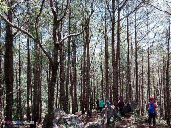 UPM Kalawang Chef Challenges UP Mountaineers in a Cook-off