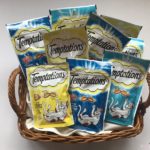 TEMPTATIONS CAT TREATS