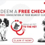 Bring My Dog to the Vet