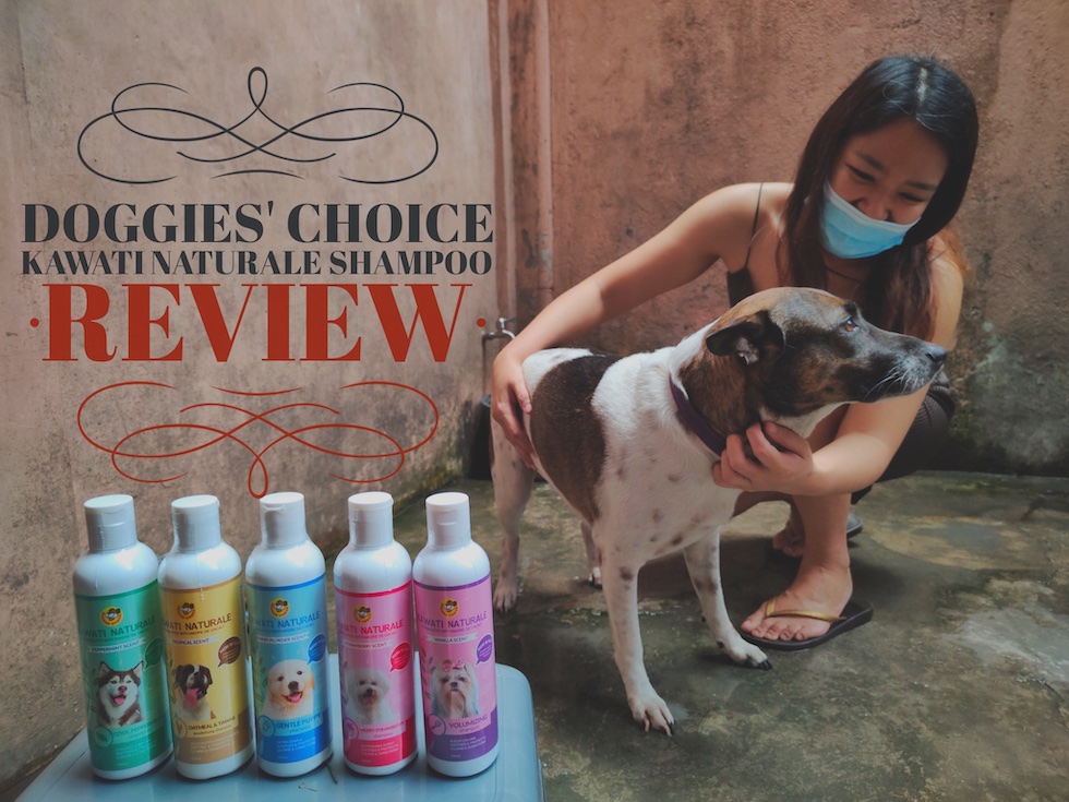 Doggies' Choice Kawati Naturale Shampoo review Ph