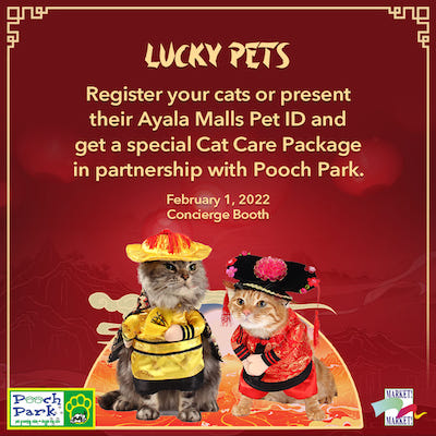 Attracting Prosperity And Good Fortune: Celebrate a Roaring Chinese New Year at Market! Market!