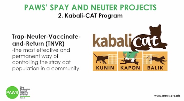 KAPON FOR ALL PETS: A PAWS Initiative In Solving Stray Problems in PH