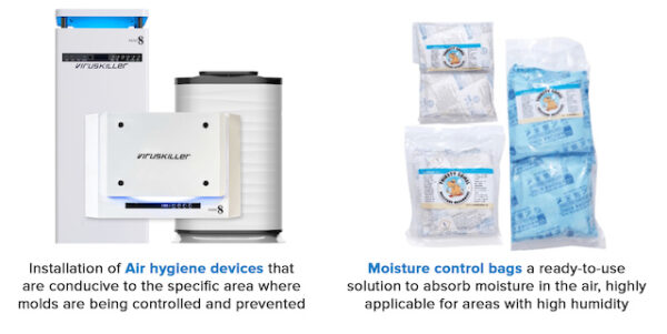 The Importance of Mold Remediation To Your Home And Office