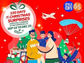 100 Days of Christmas